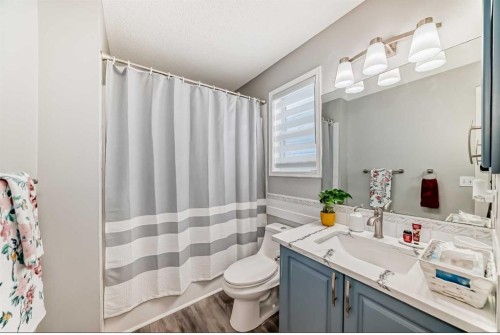 137 Coverton Circle Ne, Calgary, AB - Indoor Photo Showing Bathroom