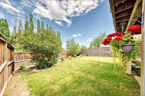 137 Coverton Circle Ne, Calgary, AB - Outdoor