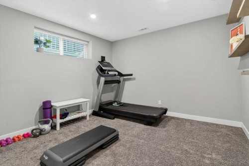 1091 Brightoncrest Green Se, Calgary, AB - Indoor Photo Showing Gym Room