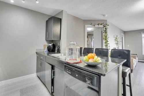 213-355 Taralake Way Ne, Calgary, AB - Indoor Photo Showing Kitchen