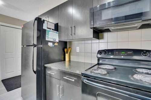 213-355 Taralake Way Ne, Calgary, AB - Indoor Photo Showing Kitchen