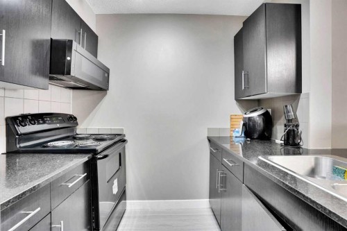 213-355 Taralake Way Ne, Calgary, AB - Indoor Photo Showing Kitchen