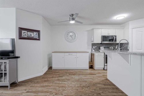 52 Autumn Court Se, Calgary, AB - Indoor Photo Showing Kitchen