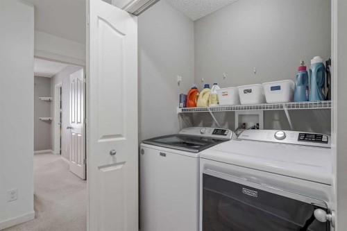 52 Autumn Court Se, Calgary, AB - Indoor Photo Showing Laundry Room