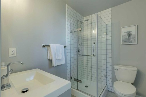 6616 Silverdale Road Nw, Calgary, AB - Indoor Photo Showing Bathroom