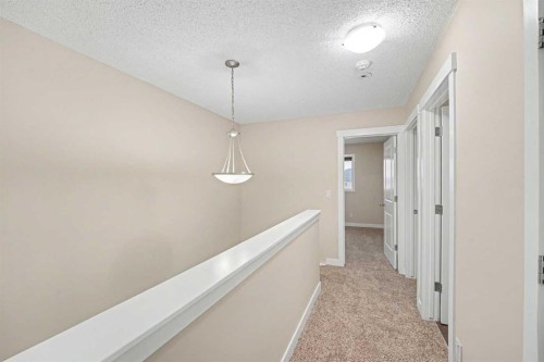 14 Skyview Point Link Ne, Calgary, AB - Indoor Photo Showing Other Room