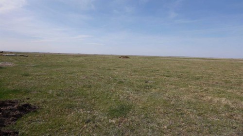 Vulcan County, Rural Vulcan County, AB 