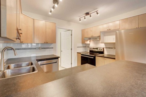 168 Simcoe Place Sw, Calgary, AB - Indoor Photo Showing Kitchen With Stainless Steel Kitchen With Double Sink