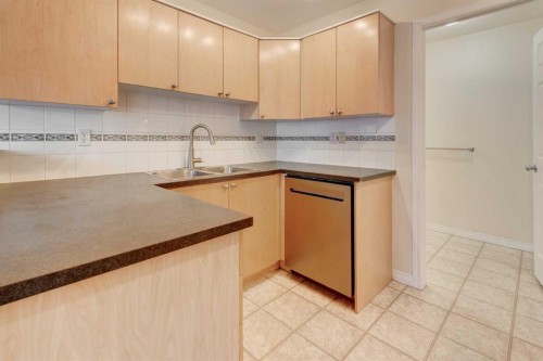 168 Simcoe Place Sw, Calgary, AB - Indoor Photo Showing Kitchen With Double Sink