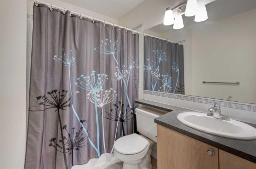 168 Simcoe Place Sw, Calgary, AB - Indoor Photo Showing Bathroom