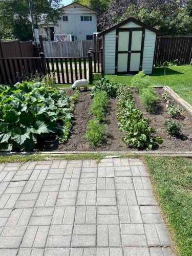 1423 18A Street Ne, Calgary, AB - Outdoor