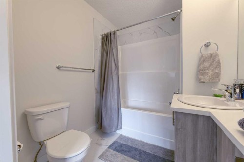 518 Canals Crossing, Airdrie, AB - Indoor Photo Showing Bathroom