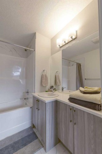518 Canals Crossing, Airdrie, AB - Indoor Photo Showing Bathroom