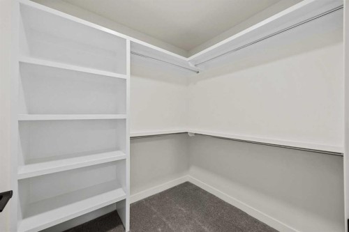 4635 79 Street Nw, Calgary, AB - Indoor With Storage