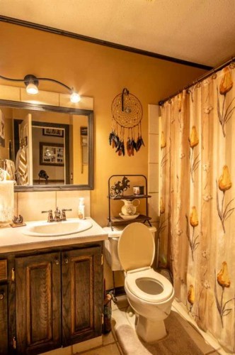 128 10 Avenue Ne, Sundre, AB - Indoor Photo Showing Bathroom