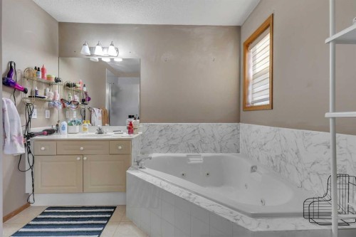 710 Coral Springs Boulevard Ne, Calgary, AB - Indoor Photo Showing Bathroom