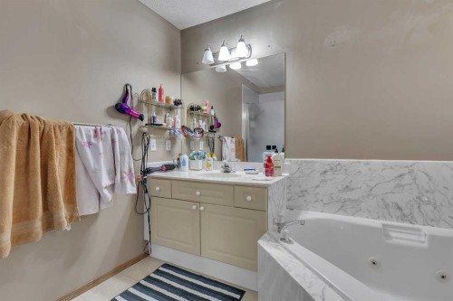 710 Coral Springs Boulevard Ne, Calgary, AB - Indoor Photo Showing Bathroom