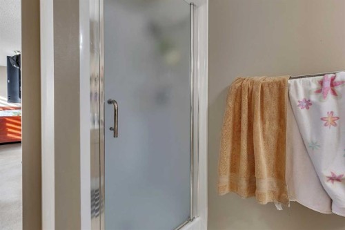 710 Coral Springs Boulevard Ne, Calgary, AB - Indoor Photo Showing Bathroom