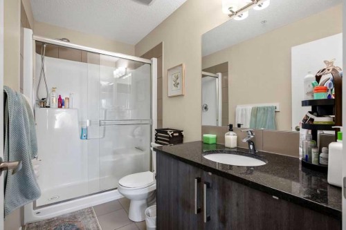 321-402 Marquis Lane Se, Calgary, AB - Indoor Photo Showing Bathroom
