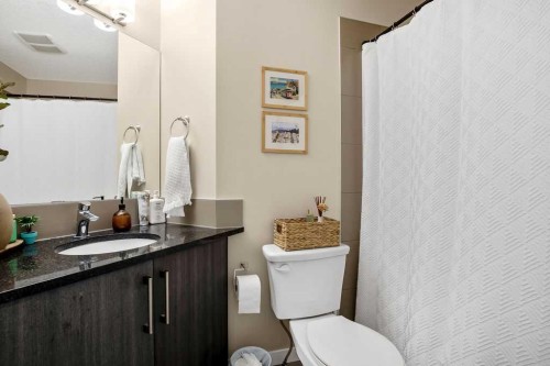 321-402 Marquis Lane Se, Calgary, AB - Indoor Photo Showing Bathroom