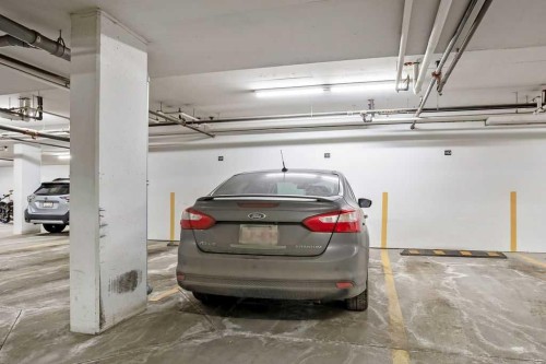 321-402 Marquis Lane Se, Calgary, AB - Indoor Photo Showing Garage