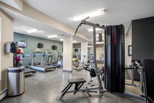 321-402 Marquis Lane Se, Calgary, AB - Indoor Photo Showing Gym Room