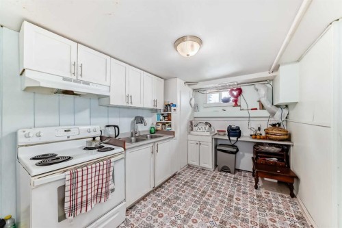 2208 47 Street Se, Calgary, AB - Indoor Photo Showing Kitchen With Double Sink