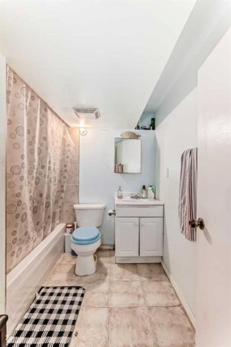 2208 47 Street Se, Calgary, AB - Indoor Photo Showing Bathroom