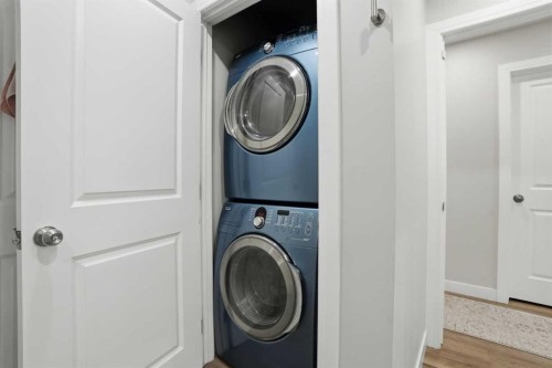 236 Fairview Drive Se, Calgary, AB - Indoor Photo Showing Laundry Room
