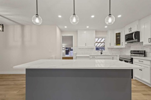 219 Pinemill Road Ne, Calgary, AB - Indoor Photo Showing Kitchen With Upgraded Kitchen