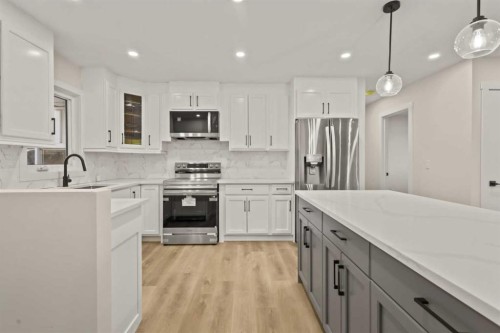 219 Pinemill Road Ne, Calgary, AB - Indoor Photo Showing Kitchen With Upgraded Kitchen