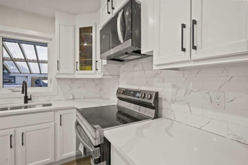 219 Pinemill Road Ne, Calgary, AB - Indoor Photo Showing Kitchen With Double Sink