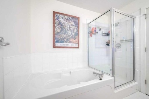 205-2440 34 Avenue Sw, Calgary, AB - Indoor Photo Showing Bathroom