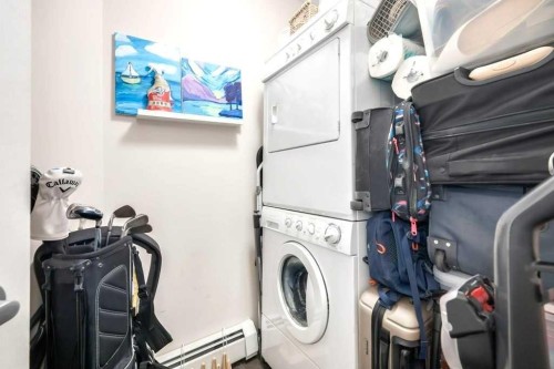 205-2440 34 Avenue Sw, Calgary, AB - Indoor Photo Showing Laundry Room