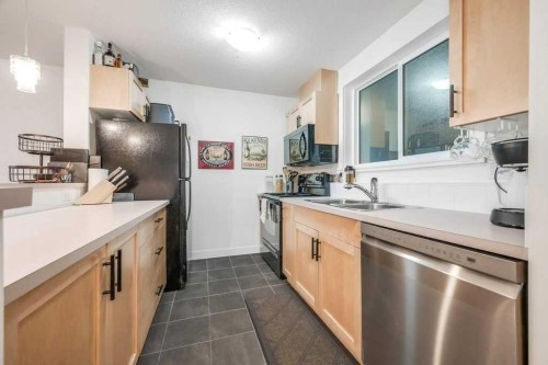 205-2440 34 Avenue Sw, Calgary, AB - Indoor Photo Showing Kitchen With Double Sink