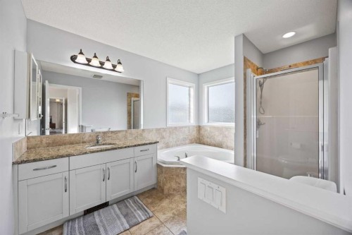 366 Bridleridge View Sw, Calgary, AB - Indoor Photo Showing Bathroom