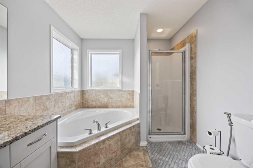 366 Bridleridge View Sw, Calgary, AB - Indoor Photo Showing Bathroom