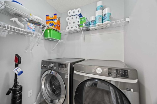 366 Bridleridge View Sw, Calgary, AB - Indoor Photo Showing Laundry Room