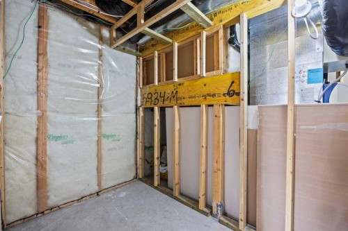 366 Bridleridge View Sw, Calgary, AB - Indoor Photo Showing Basement