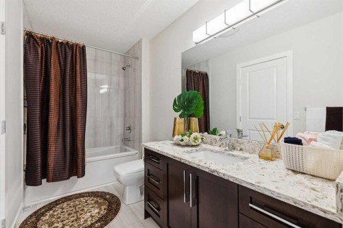 176 Cranarch Crescent Se, Calgary, AB - Indoor Photo Showing Bathroom
