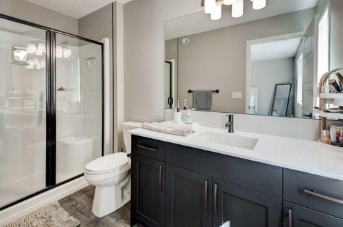 100 Dawson Drive, Chestermere, AB - Indoor Photo Showing Bathroom