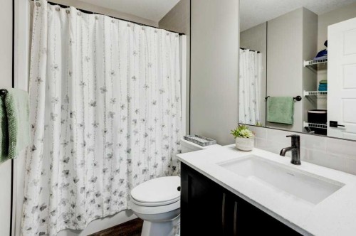 100 Dawson Drive, Chestermere, AB - Indoor Photo Showing Bathroom