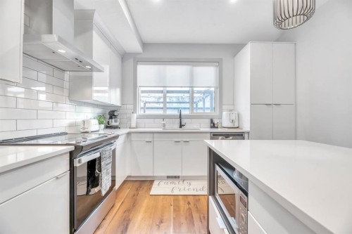 159 Wolf Hollow Park Se, Calgary, AB - Indoor Photo Showing Kitchen With Upgraded Kitchen