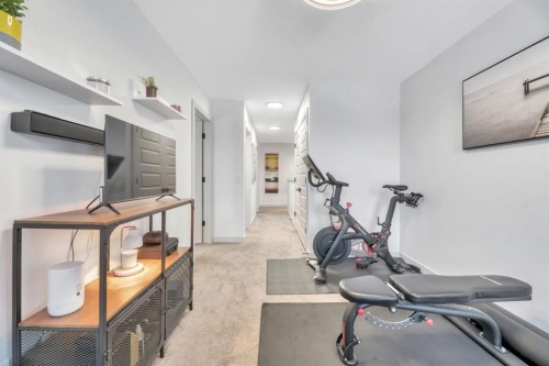 159 Wolf Hollow Park Se, Calgary, AB - Indoor Photo Showing Gym Room