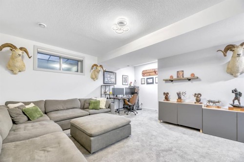 159 Wolf Hollow Park Se, Calgary, AB - Indoor Photo Showing Living Room