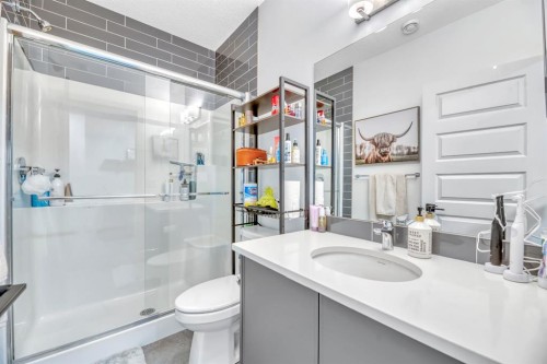 159 Wolf Hollow Park Se, Calgary, AB - Indoor Photo Showing Bathroom