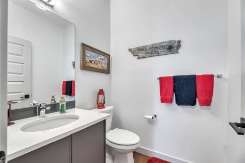 159 Wolf Hollow Park Se, Calgary, AB - Indoor Photo Showing Bathroom