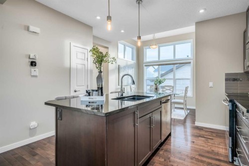 69 Skyview Point Common Ne, Calgary, AB - Indoor Photo Showing Kitchen With Double Sink With Upgraded Kitchen