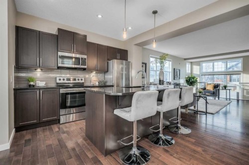 69 Skyview Point Common Ne, Calgary, AB - Indoor Photo Showing Kitchen With Upgraded Kitchen