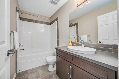 69 Skyview Point Common Ne, Calgary, AB - Indoor Photo Showing Bathroom